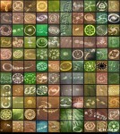 crop circles aliens fields big