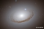 ���� ��������� ngc 7049
