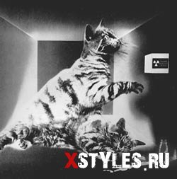http://xstyles.ru/uploads/posts/1281520267_6.jpg
