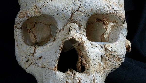 Первое преступление на Земле состоялось 430 тысяч лет назад